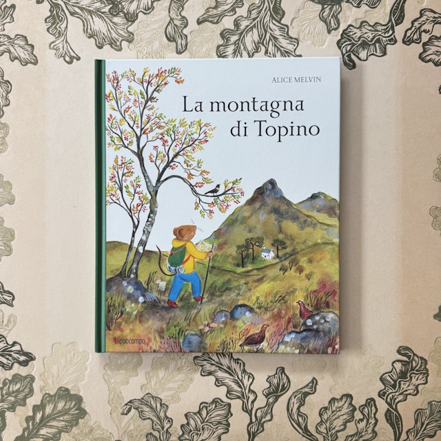 montagna topino fronte 640x640